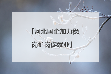 河北国企加力稳岗扩岗促就业