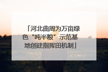 河北曲周为万亩绿色“吨半粮”示范基地创建指挥田机制