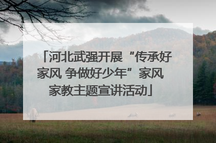 河北武强开展“传承好家风 争做好少年”家风家教主题宣讲活动