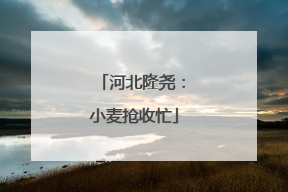 河北隆尧：小麦抢收忙