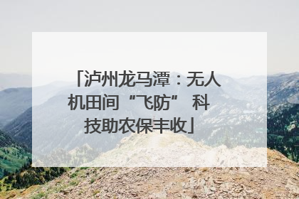 泸州龙马潭：无人机田间“飞防” 科技助农保丰收