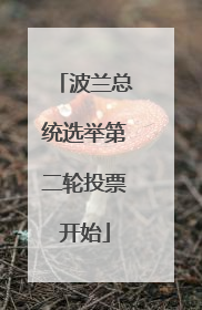 波兰总统选举第二轮投票开始