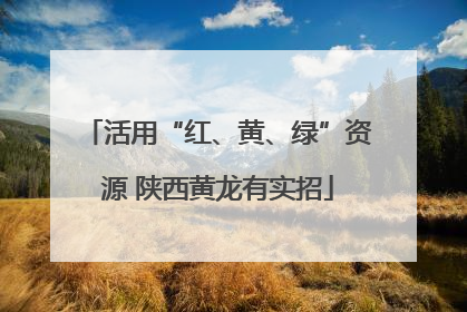 活用“红、黄、绿”资源 陕西黄龙有实招