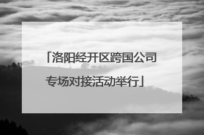 洛阳经开区跨国公司专场对接活动举行