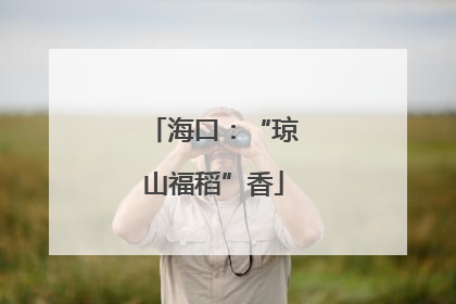 海口：“琼山福稻”香