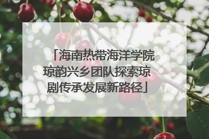 海南热带海洋学院琼韵兴乡团队探索琼剧传承发展新路径