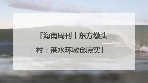 海南周刊丨东方墩头村：港水环墩仓廪实