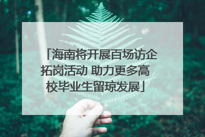 海南将开展百场访企拓岗活动 助力更多高校毕业生留琼发展