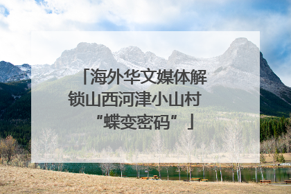 海外华文媒体解锁山西河津小山村“蝶变密码”