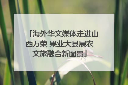 海外华文媒体走进山西万荣 果业大县展农文旅融合新图景