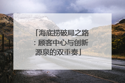 海底捞破局之路：顾客中心与创新源泉的双重奏