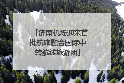 济南机场迎来首批航旅融合国际中转航线旅游团
