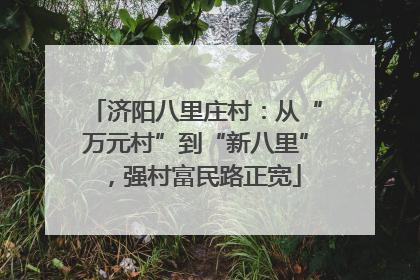 济阳八里庄村：从“万元村”到“新八里”，强村富民路正宽
