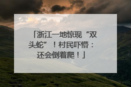 浙江一地惊现“双头蛇”！村民吓懵：还会倒着爬！