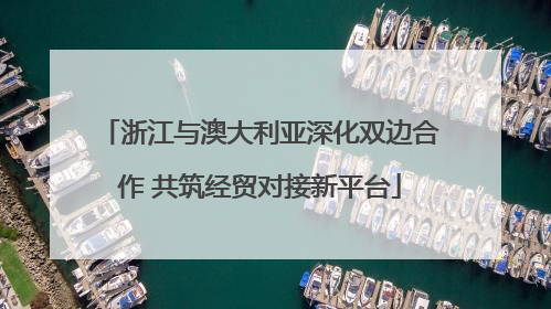 浙江与澳大利亚深化双边合作 共筑经贸对接新平台