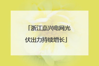浙江嘉兴电网光伏出力持续增长