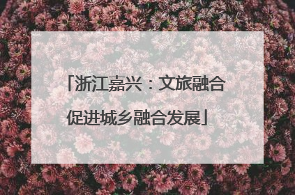 浙江嘉兴：文旅融合促进城乡融合发展
