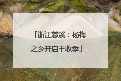 浙江慈溪：杨梅之乡开启丰收季
