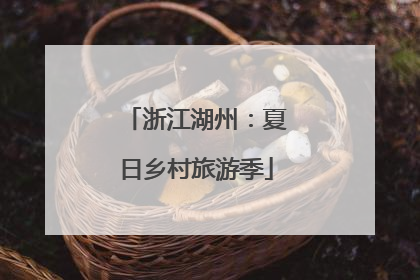 浙江湖州：夏日乡村旅游季