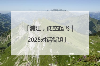 浦江，低空起飞｜2025对话街镇