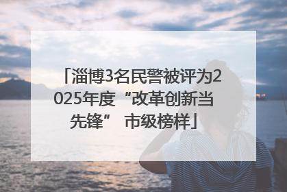 淄博3名民警被评为2025年度“改革创新当先锋” 市级榜样