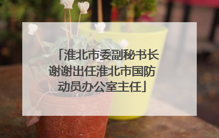 淮北市委副秘书长谢谢出任淮北市国防动员办公室主任