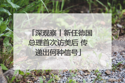 深观察丨新任德国总理首次访美后 传递出何种信号