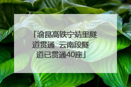 渝昆高铁宁靖里隧道贯通  云南段隧道已贯通40座