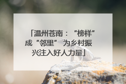 温州苍南：“榜样”成“邻里” 为乡村振兴注入好人力量