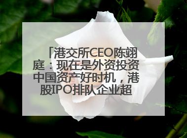 港交所CEO陈翊庭：现在是外资投资中国资产好时机，港股IPO排队企业超160家