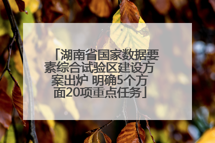 湖南省国家数据要素综合试验区建设方案出炉 明确5个方面20项重点任务