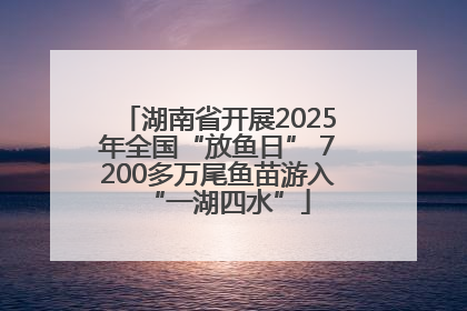 湖南省开展2025年全国“放鱼日” 7200多万尾鱼苗游入“一湖四水”