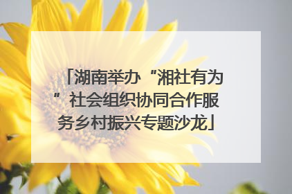 湖南举办“湘社有为”社会组织协同合作服务乡村振兴专题沙龙