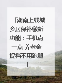 湖南上线城乡居保补缴新功能：手机点一点 养老金提档不用跑腿