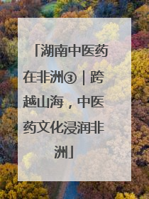 湖南中医药在非洲③｜跨越山海，中医药文化浸润非洲