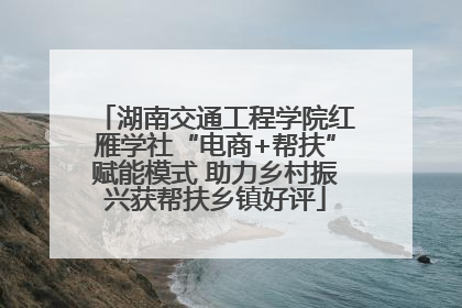 湖南交通工程学院红雁学社“电商+帮扶”赋能模式 助力乡村振兴获帮扶乡镇好评