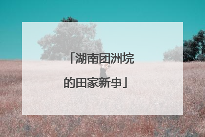 湖南团洲垸的田家新事