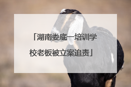 湖南娄底一培训学校老板被立案追责
