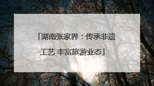 湖南张家界：传承非遗工艺 丰富旅游业态