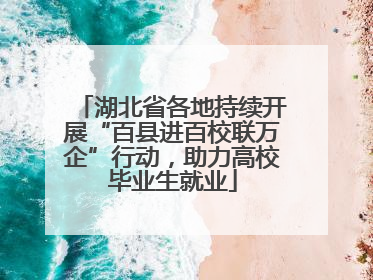 湖北省各地持续开展“百县进百校联万企”行动，助力高校毕业生就业