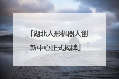 湖北人形机器人创新中心正式揭牌