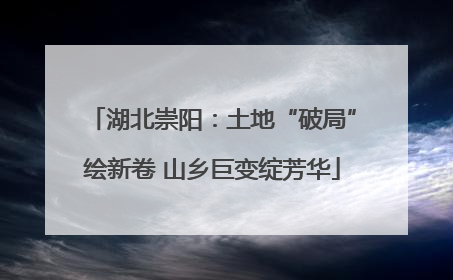 湖北崇阳：土地“破局”绘新卷 山乡巨变绽芳华