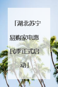 湖北苏宁易购家电惠民季正式启动