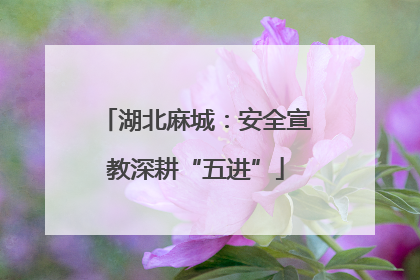 湖北麻城：安全宣教深耕“五进”