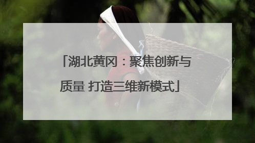 湖北黄冈：聚焦创新与质量 打造三维新模式