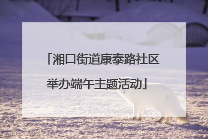 湘口街道康泰路社区举办端午主题活动