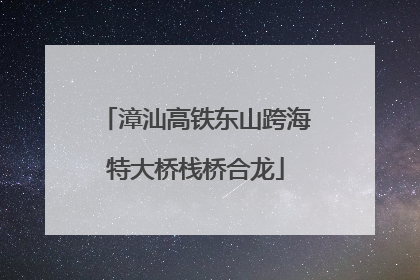 漳汕高铁东山跨海特大桥栈桥合龙