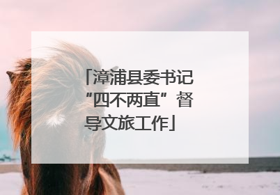 漳浦县委书记“四不两直”督导文旅工作