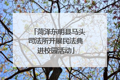 菏泽东明县马头司法所开展民法典进校园活动