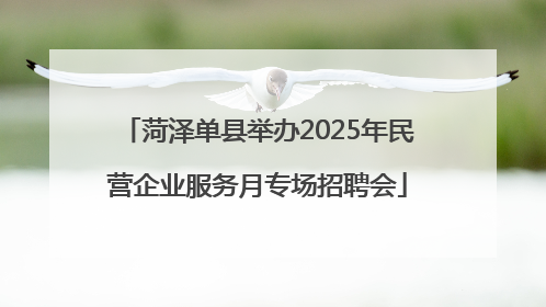 菏泽单县举办2025年民营企业服务月专场招聘会